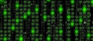 Kraken адрес onion