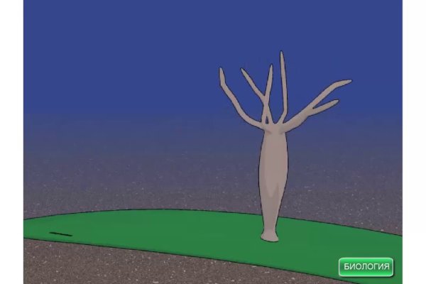 Kraken рабочее зеркало onion