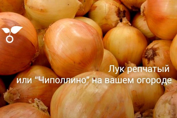 Kraken зеркало