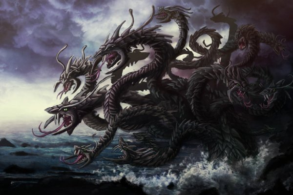Kraken актуальное
