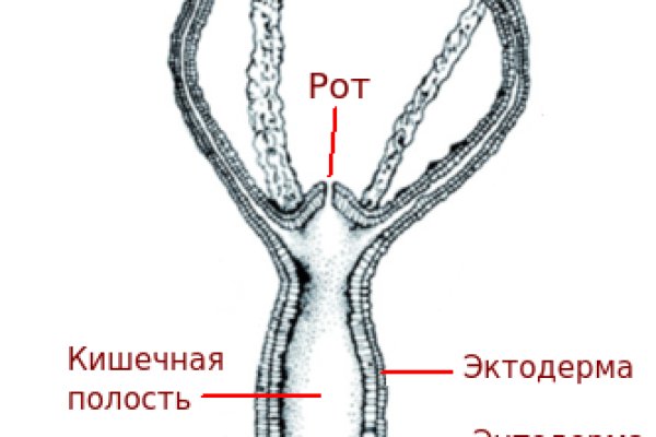 Кракен это гидра