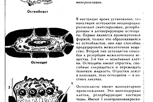 Проблемы со входом на кракен